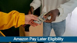 Read more about the article Amazon Pay Later Eligibility Criteria 2024
